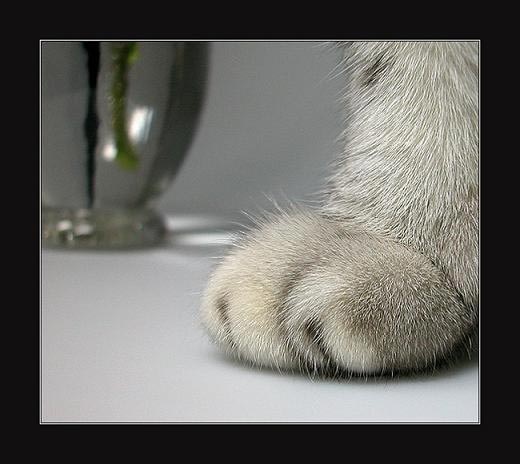 - -��ʾֻ����300�ֽڡ�.jpg