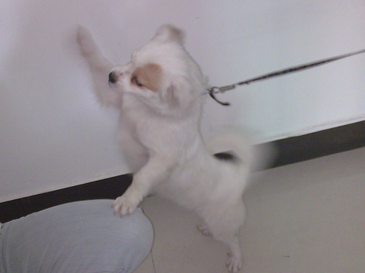 ������Ǽҹ���.- -